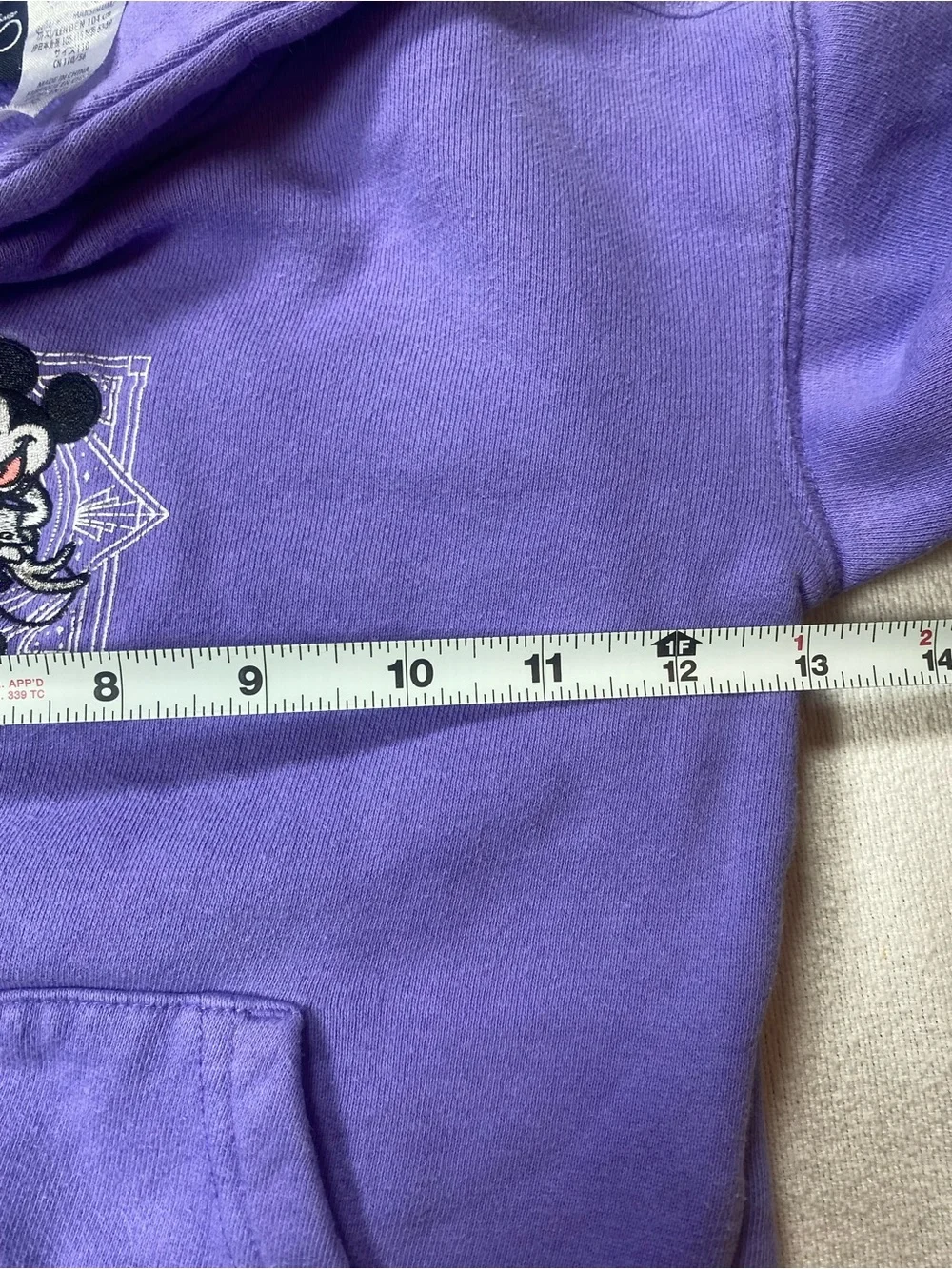 Disney World Purple Kids Hooded Sweatshirt 100th Anniversary